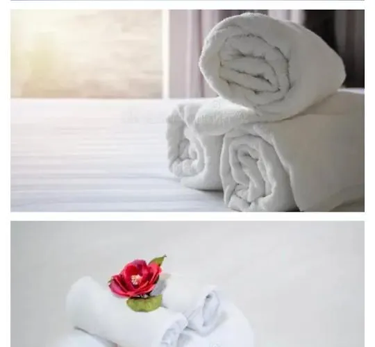 House Of The Night *