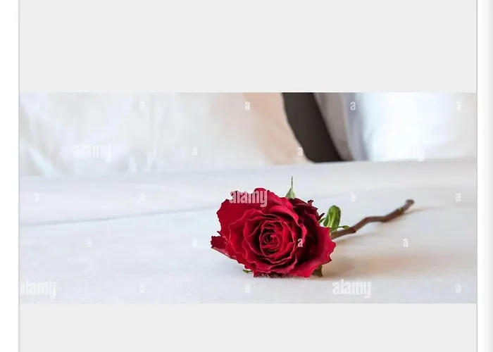 Apartment House Of The Night